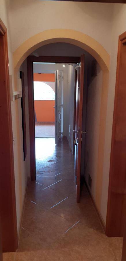 Citrus Novigrad
