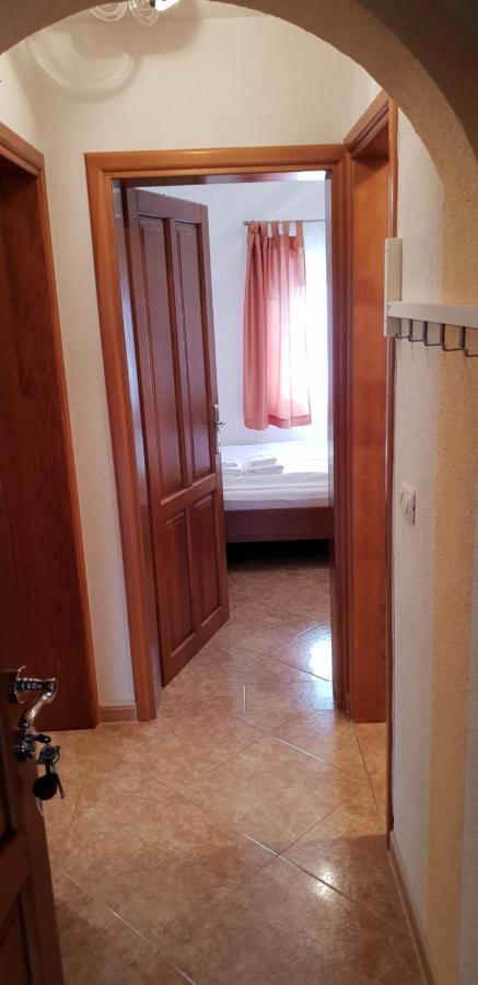 Apartament Citrus Novigrad Filipac