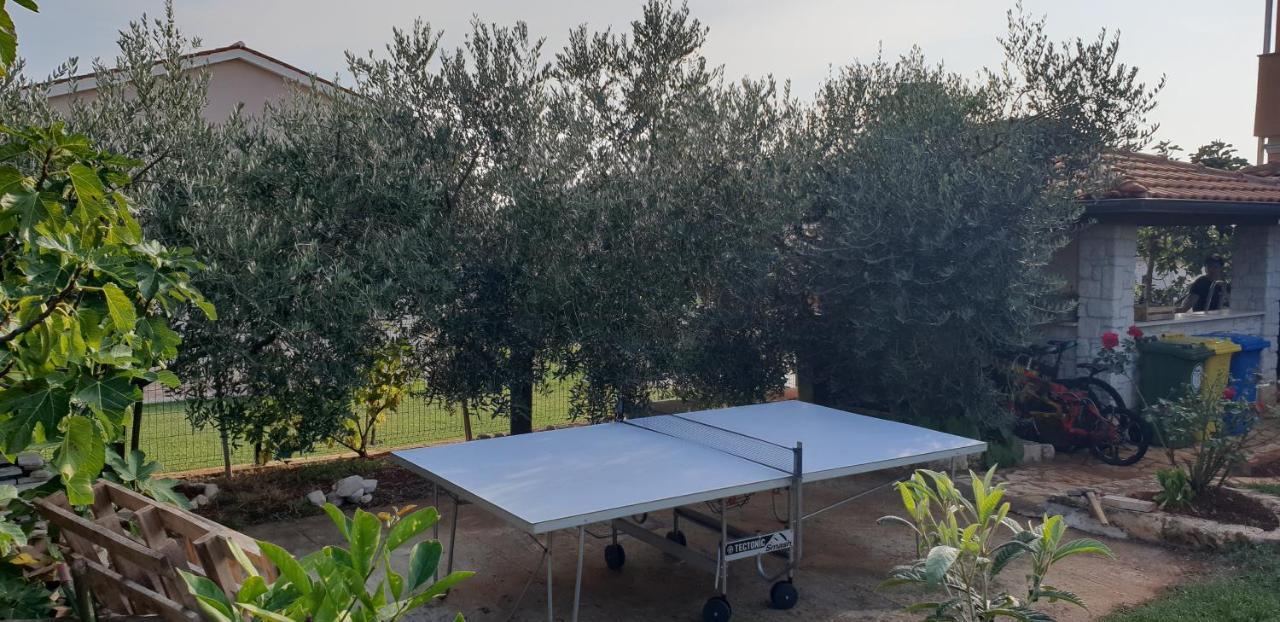 Citrus Novigrad Apartament Filipac