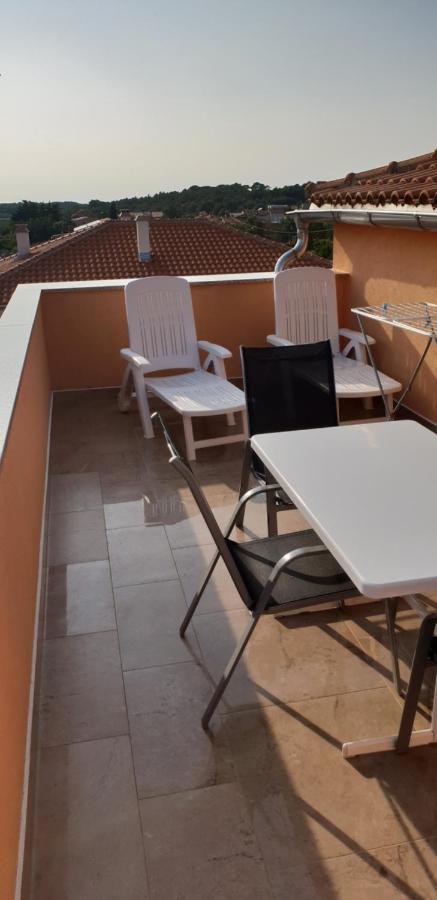 Citrus Novigrad Filipac